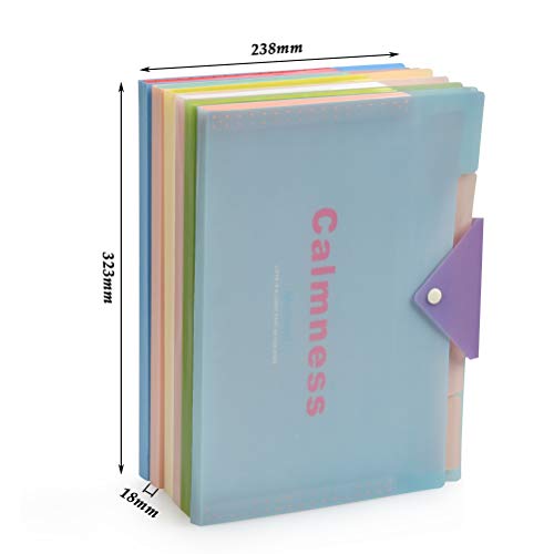 YOTINO 6 Pcs Expanding File Folder with 5 Pockets Plastic A4 Letter Size Document Organizer and 120 Pcs File Folder Labels for School Office Business (6 Color)