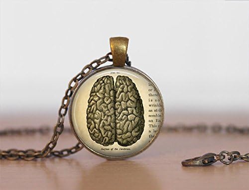 VINTAGE ANATOMY BRAIN Pendant Necklace / The Brain / Gift for Her / Gift For Doctor / Antique Brass Necklace / Neurosurgeon / gift for her