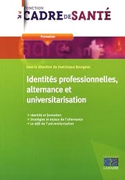 Identités professionnelles, alternance et universitarisation
