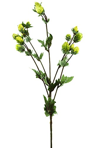 Renaissance 2000 23202-LT_Yell Artificial Hop Plant Spray, Green