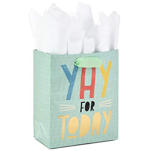 Hallmark 6" Small Gift Bag with Tissue Paper  (Yay For Today) for Birthdays, Graduations, Weddings, Retirements or Any Occasion