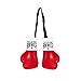 Cleto Reyes Mini Boxing Gloves