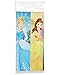 Amscan 571621 Plastic Table Cover | Disney© Princess Dream Big Collection | Party Accessory 1ct., 54