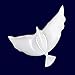 Dove Balloons Pack of 10 are 100% Biodegradable Perfect for Ceremonies, Weddings, Birthdays and More. Eco-Friendly & Huge White Balloons