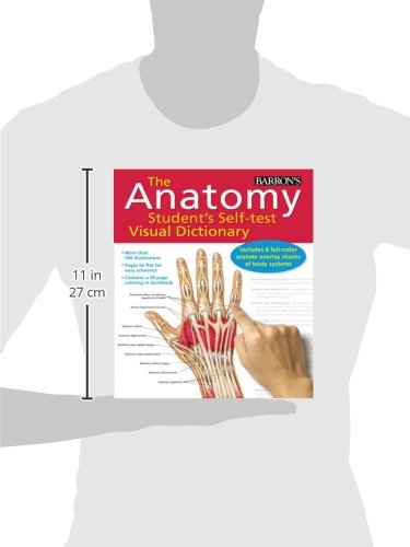 Anatomy Student's Self-Test Visual Dictionary: An All-in-One Anatomy Reference and Study Aid (Barron's Visual Dictionaries) - Thumbnail 6