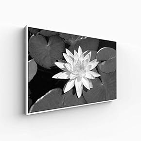 Canvas Wall Art for Living Room, Bedroom Monochrome Plants Framed Canvas Prints for Home Decoration Ready to Hang - 16x24 inches
