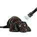 Ultrasonic Dog Chaser Bark Stopper Aggressive Animal Attacks Repeller Flashlight Handheld Bark Control