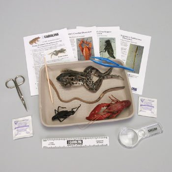 Young Scientist's Animal Dissection Kit