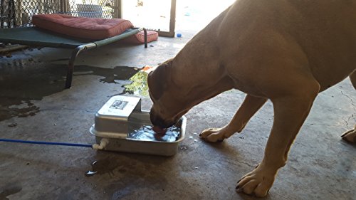 Automatic Self Filling Pet Waterer Bowl Connects To Garden Hose