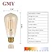 GMY LED Edison Light Bulb E26 3W Equivalent to 20W 120V Dimmable 2200K Warm White Vintage LED Filament Bulb Amber Pack of 4