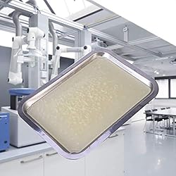 UKCOCO Wax Dissection Tray - Stainless Steel