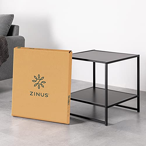 ZINUS Dane 20 Inch Black Frame Side Table / End Table / Easy Assembly