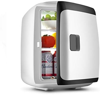 Xinjin Mini Fridge Cosmetic Cool and Warmer Box Low Noise Car Home Dual-Use Portable Handle Car Refrigerator Perfect for Traveling and Camping 13L,12v/110v
