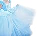 Romy's Collection Princess Cinderella Special Edition Blue Party Deluxe Costume Dress-Up Set (Blue, 3-4)