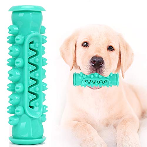 dog teeth brushing toy