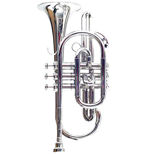NASIR ALI NEW STUDENT MODEL INDIA Co-01, Cornet, Bb, Nickel