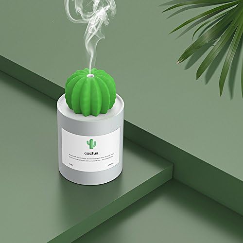 Walkas Mini Portable Cool Mist Humidifier with Timed auto shutdown for Office Home (Grey)