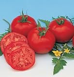 David's Garden Seeds Tomato Slicing Moskvich D756A (Red) 50 Organic Heirloom Seeds