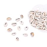 PandaHall Elite About 50 Pcs Tiny Cowrie Sea Shells Oval Ocean Beach Spiral Seashells Craft Charms Length 18-20mm Candle Making, Home Decoration, Party Wedding Decor, Fish Tank Vase Filler