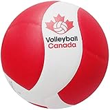 MIKASA V200W, Indoor Volleyballs - Amazon Canada