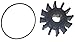 Sierra International 18-3060 Impeller primary