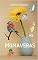 Livro As Primaveras