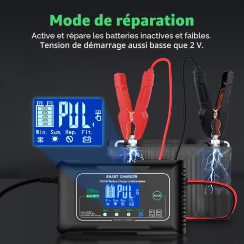 Haisito Car Battery Charger 12 V/24 V 25 A, Fast Intelligent Car and Motorcycle Battery Charger, Portable Charger and Maintainer of Lithium Battery, LiFePO4, Lead (AGM, EFB, Gel, MF, VRLA, etc.)