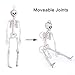 3PCs Halloween Skeleton 16 inch with Movable Joints for Halloween Party Favors，Halloween Decorations