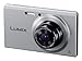 Panasonic Lumix DMC-FH10 16.1 MP Compact Digital Camera with 8x Intelligent Zoom (silver)