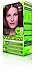 Naturtint Permanent Hair Color 6GM (Formerly 6.7) Chocolate Blonde (Pack of 1), Ammonia Free, Vegan, Cruelty Free, up to 100% Gray Coverage, Long Lasting Results