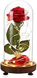 Dream of Flowers Beauty and The Beast Red Rose with Fallen Petals in A Light Dome USB Powered, Home Decoration Valentine's Day Gift, Romantic Rose Gift for Women Girl