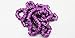 General 100pcs8mm Bird Foot Ring for 2020 Racing Pigeon Rings Pigeon Leg Bands Multicolor (Purple)