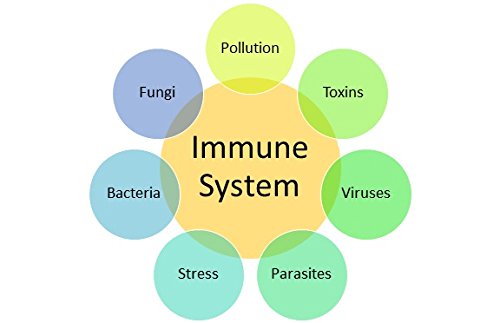 Birm Biological Inmune Response Modulator 120 Ml. Ecuador