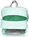 JanSport Big Student Backpack, Brook Green