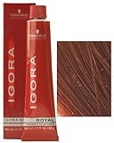 Schwarzkopf Igora Royal Permanent Color Creme (6-88)