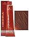 Schwarzkopf Igora Royal Permanent Color Creme (6-88)