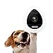 Wireless IP Home Surveillance Security Camera System with Motion Email Alert/Motion Detection for Indoor Security, Nursery, Pet Monitor, Remote Control (BLACK)