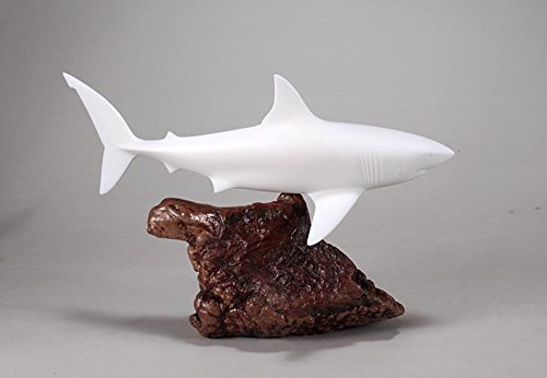 Great White Shark Sculpture by John Perry 15 in long Pellucida Statue on Burl Wood