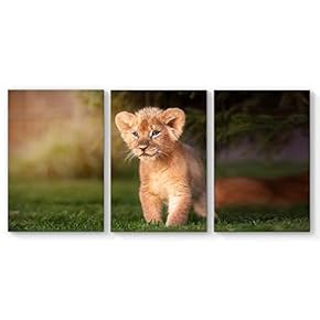 Canvas Wall Art Lion King Canvas Painting Wall Poster Decor for Living Room Framed Home Decorations - 16"x24" x 3 Panels