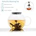 Glass Teapot with Removable Stainless Steel Infuser - Borosilicate Glass Stovetop Safe Tea Pot and Tea Strainer Set, 50 Ounce / 1500 ml, Tea Maker Kettle for Loose Leaf Iced Blooming and Flowering Tea