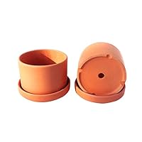 Natural Terracotta Round Fat Walled Garden Planters with Individual Trays. Set of 2