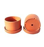Natural Terracotta Round Fat Walled Garden Planters with Individual Trays. Set of 2