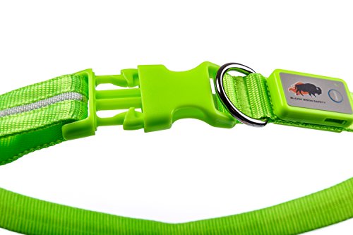 Blazin' Safety LED Dog Collar - USB Rechargeable with Water Resistant Flashing Light, Medium, Green