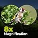 Wingspan Optics ProBirder Ultra HD 8X32 Binoculars for Bird Watching with ED Glass. Wide View, Close Focus, Waterproof. Compact. Experience Brighter, Clearer Images in Ultra HD 8x32 Magnification