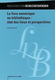 Le  livre numérique en bibliothèque