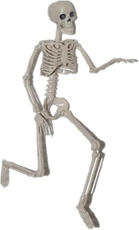 Amazon Co Jp ハロウィン 飾り 人間 骨格 骸骨 肩 脚関節 可動する ぞっとする 40cm Toys