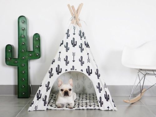 Pipolli Cactus Pet Teepee
