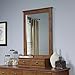 Sauder Shoal Creek Mirror Color: Oiled Oak