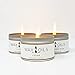Wax and Oils Soy Wax Aromatherapy Scented Candles (Cedar, Pumpkin, Black Amber Plum) 8 Ounces. 3 Packthumb 1