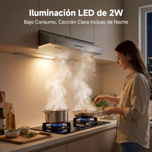 AAOBOSI A++ Campana Extractora 60 cm, 3 Niveles de Potencia, 230m³/h Extractor Cocina, Filtro de Carbón, Iluminación LED, Acero Inox Silver
